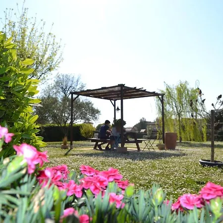 Village De Les Olivettes Saint-Dezery