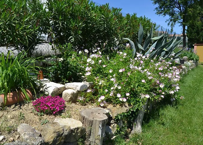 펜션 Village De Les Olivettes *